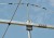 6m-6elements-Yagi-Antenna-PA50-60-6BGP-Bracket-Guy-Rope-Support-and-Label-View.jpg